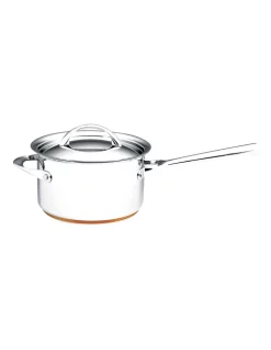 Essteele Per Vita Induction Stainless Steel Covered Saucepan 20cm/3.8L