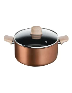 Tefal Eco Respect Induction Non-Stick Stewpot 24cm Lid In Bronze