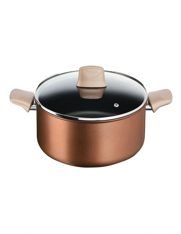 Tefal Eco Respect Induction Non-Stick Stewpot 24cm Lid In Bronze