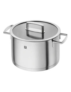 Zwilling Vitality Stock Pot 24cm In Silver