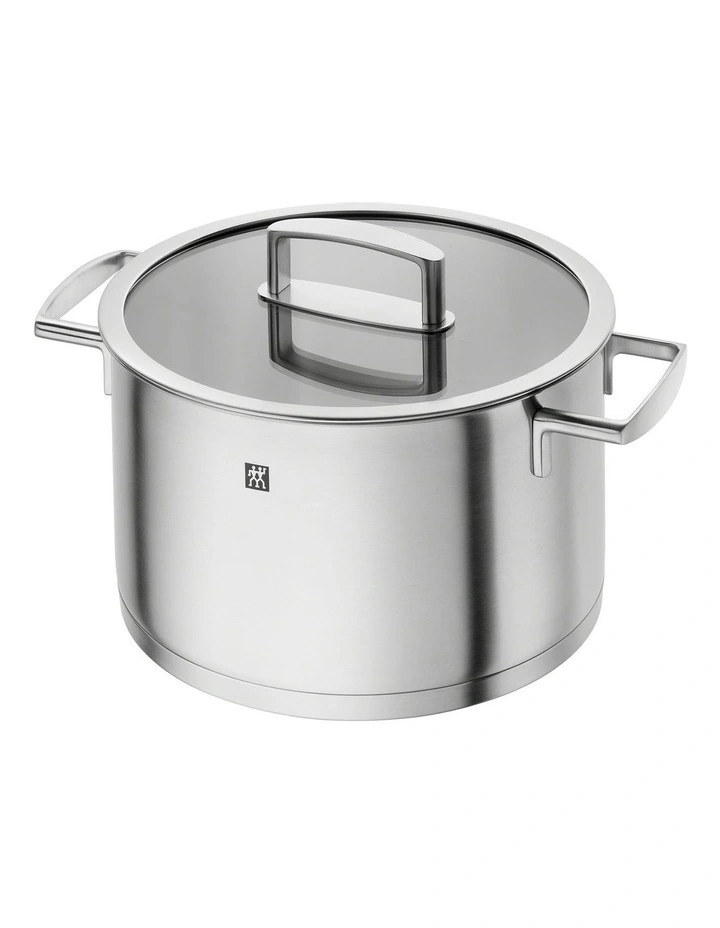 Zwilling Vitality Stock Pot 24cm In Silver