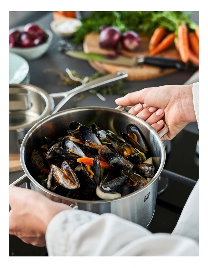 Zwilling Vitality Stock Pot 24cm In Silver - Image 2